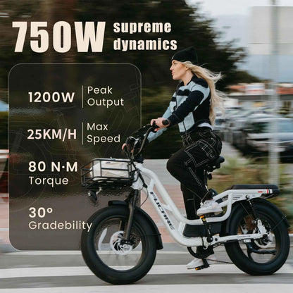 For Fucare CA Stock Free Shipping 750W 32mph Load Electric Mountain Bike for Adults 400LBS Fat Tire 48V 20Ah Battery Full Suspen