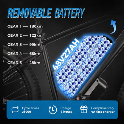 ChamRider DM427 E-bike longue portée léger élégant livraison de banlieue E-MTB pour les adolescents européens vélo électrique