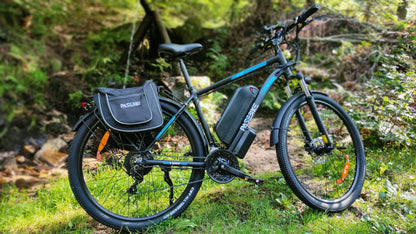 PASEBIKE C29 vélos électriques 250W 21AH 25KM 120KM application de frein à huile 29 "* 2.125 CST avec capteur de couple