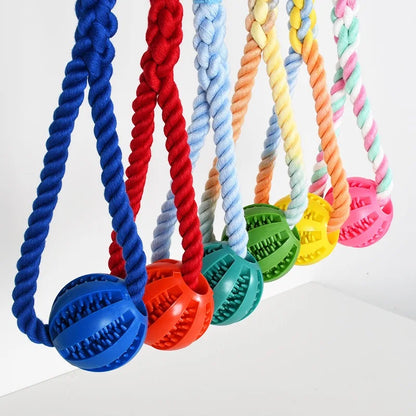 Factory Wholesale High Quality Bite Ball Dog Food Dispenser Toy Ball Dog Teeth Cleaning Toy For Pet Shop