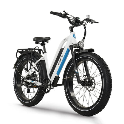Gyroor 48V 750W Motor Top Sale Custom Long Range Battery Fat Tire E-bike Electric City Bike Fat Tire Mountain Bike