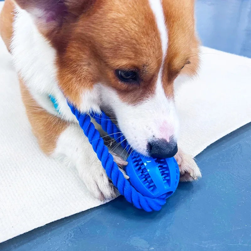 Factory Wholesale High Quality Bite Ball Dog Food Dispenser Toy Ball Dog Teeth Cleaning Toy For Pet Shop