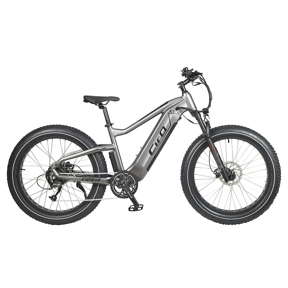 US Warehouse 26 Inch Electric Bike Fat Tire Lady Electric Bicycle 750W  Electric Hybrid Bike Electric Mountain Bike