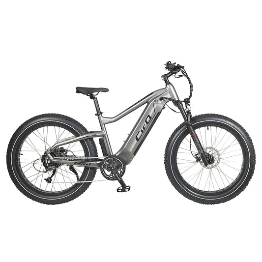 US Warehouse 26 Inch Electric Bike Fat Tire Lady Electric Bicycle 750W  Electric Hybrid Bike Electric Mountain Bike