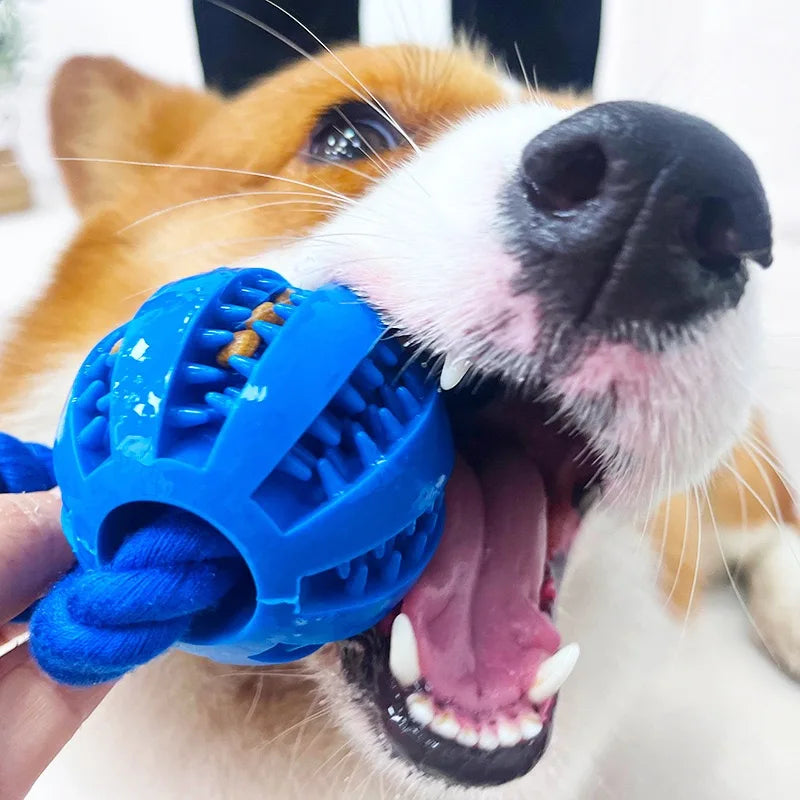 Factory Wholesale High Quality Bite Ball Dog Food Dispenser Toy Ball Dog Teeth Cleaning Toy For Pet Shop
