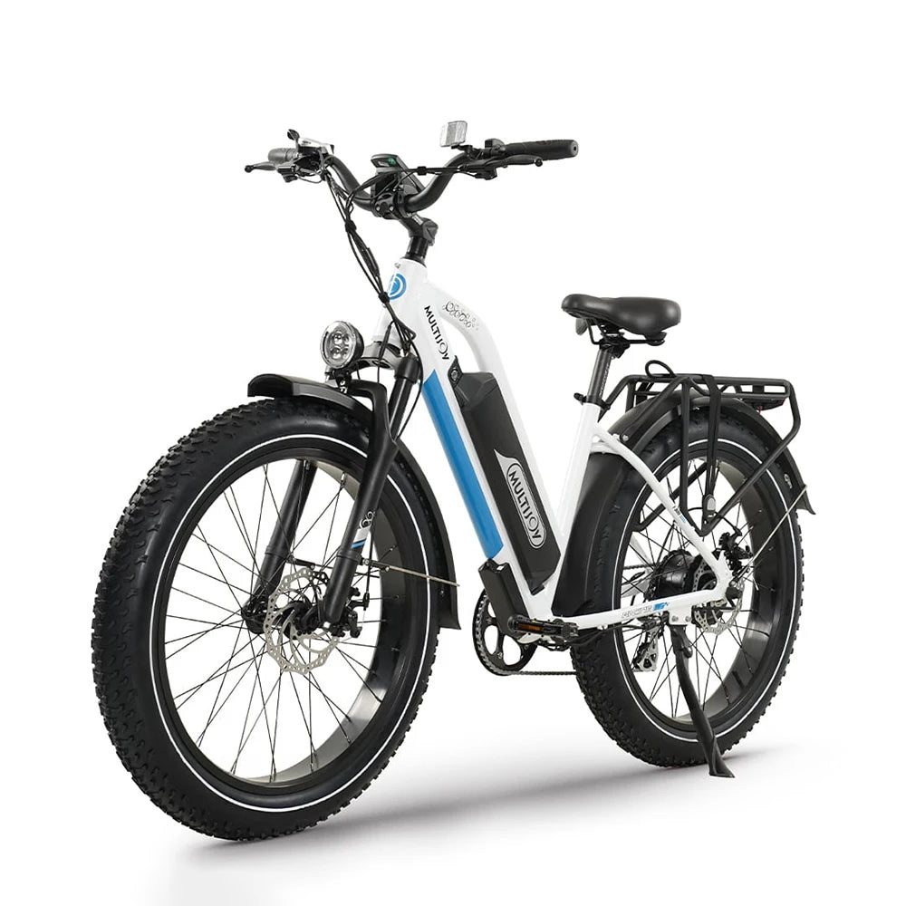 Gyroor 48V 750W Motor Top Sale Custom Long Range Battery Fat Tire E-bike Electric City Bike Fat Tire Mountain Bike
