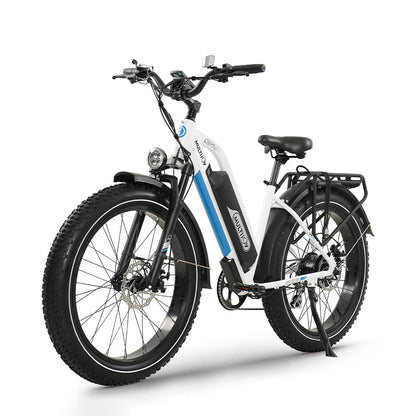 Gyroor 48V 750W Motor Top Sale Custom Long Range Battery Fat Tire E-bike Electric City Bike Fat Tire Mountain Bike