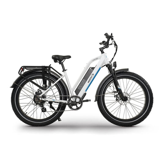 Gyroor 48V 750W Motor Top Sale Custom Long Range Battery Fat Tire E-bike Electric City Bike Fat Tire Mountain Bike