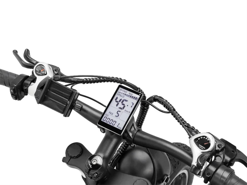 Ridstar H26pro Electric Mountain Bike Eco-Friendly Zero Emission 1000w E-Bike with 48V Voltage Fashion From Europe Warehouse