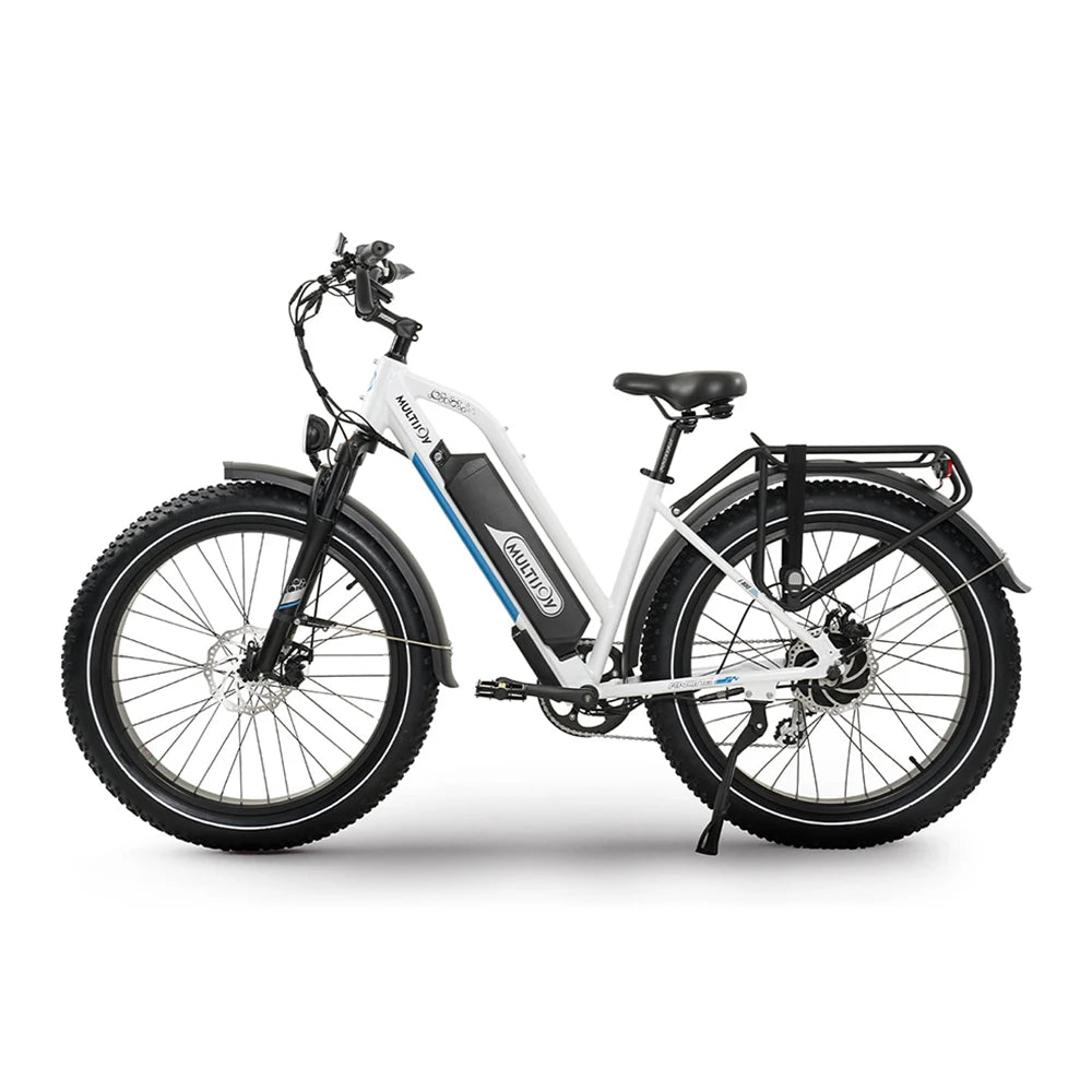 Gyroor 48V 750W Motor Top Sale Custom Long Range Battery Fat Tire E-bike Electric City Bike Fat Tire Mountain Bike