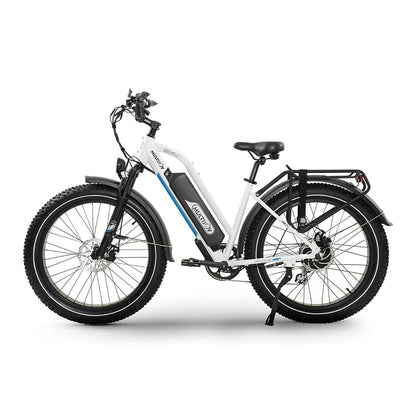 Gyroor 48V 750W Motor Top Sale Custom Long Range Battery Fat Tire E-bike Electric City Bike Fat Tire Mountain Bike