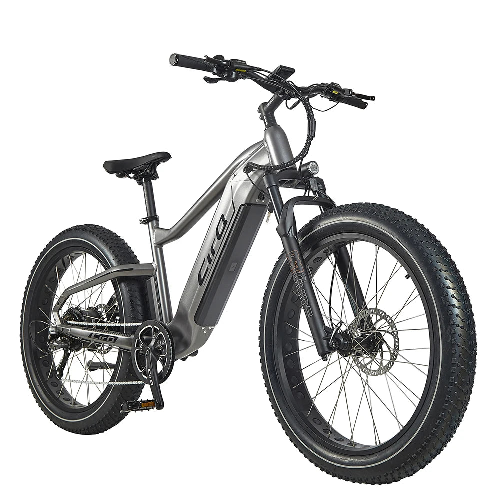 US Warehouse 26 Inch Electric Bike Fat Tire Lady Electric Bicycle 750W  Electric Hybrid Bike Electric Mountain Bike