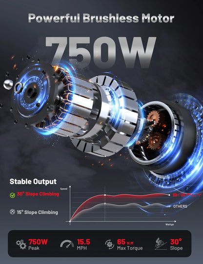 BIGFLY C29 ULTAR freins hydrauliques de vélo électrique, 48V 15AH, portée 100KM, pneus 29*2 pouces, homme/femme, moteur 68NM 21 vitesses