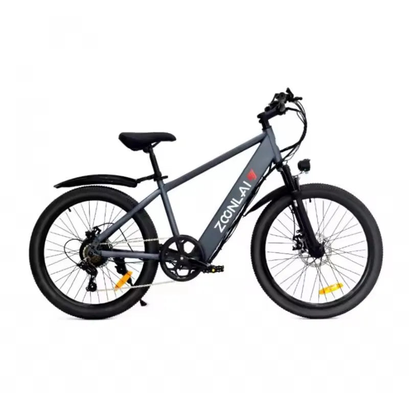 Vélo électrique à moteur 500W, batterie 36v 10ah, vélo électrique haut de gamme, vert et respectueux de l'environnement avec diverses fonctions
