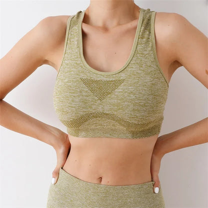 52857032442205|52857032474973