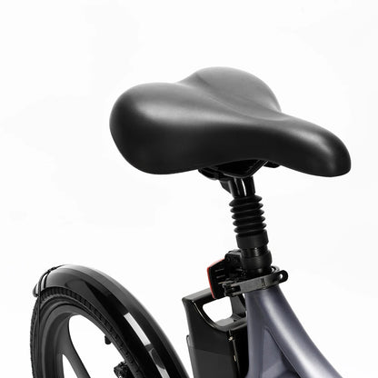 DYU T1 vélo électrique 250W moteur sans brosse 36V10AH batterie au Lithium e-bike adulte 20 pouces pneu pliable vélo électrique