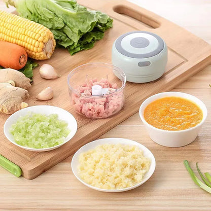 Hachoir à ail électrique de 250ML, hachoir à légumes, hachoir alimentaire, Mini hachoir à oignon USB, petit robot culinaire Portable
