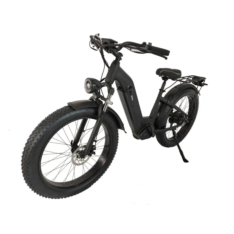 E-bike cyclisme urbain 1500W moteur 48V30AH batterie au lithium peut voyager 80 kilomètres cyclomoteur tout-terrain de montagne