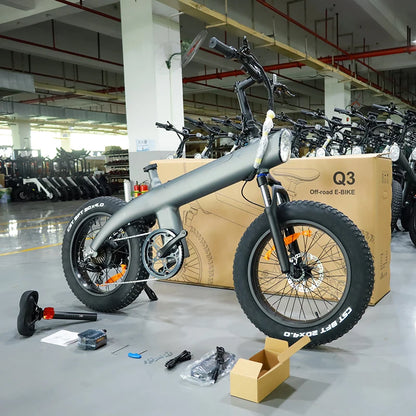 750 watts gros pneu Ebike Electrica 45 km h grand pneu Cycle de charge vélo de ville électrique Cargo vélos électriques