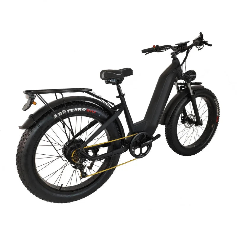 E-bike cyclisme urbain 1500W moteur 48V30AH batterie au lithium peut voyager 80 kilomètres cyclomoteur tout-terrain de montagne