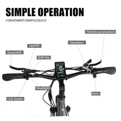 E-bike L26 500W moteur 48V17AH batterie adulte ville déplacement vélo électrique 26 pouces pneus tout-terrain vélo électrique pratique