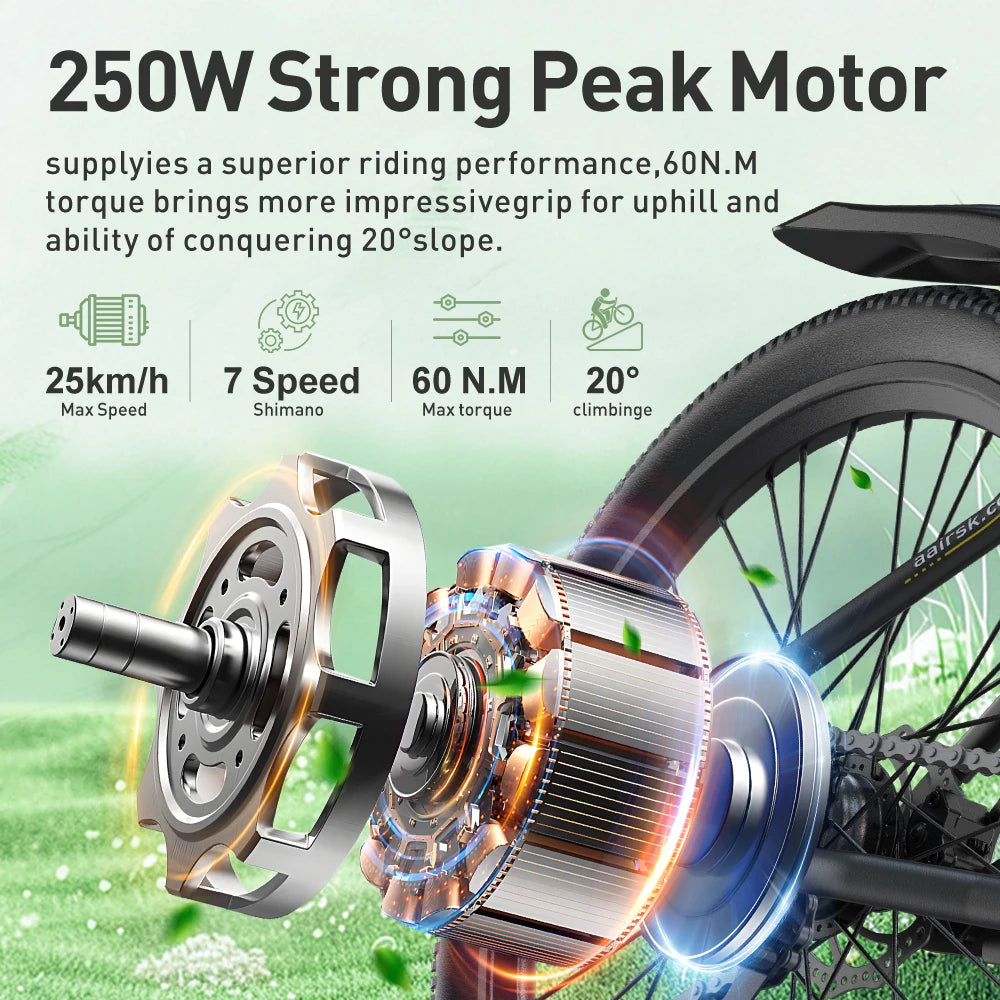 Aairsk 250W 36V 10AH Lithium Battery Mountain City Use Electric Mountain Bike Adult Electric Bike