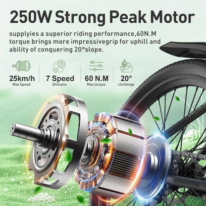 Aairsk 250W 36V 10AH Lithium Battery Mountain City Use Electric Mountain Bike Adult Electric Bike