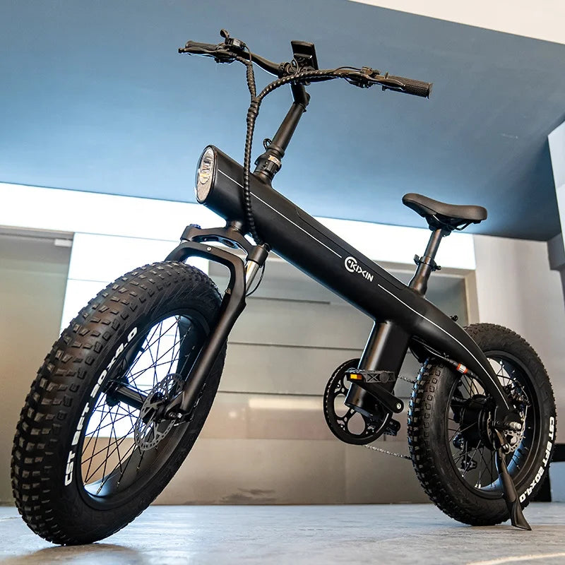 750 watts gros pneu Ebike Electrica 45 km h grand pneu Cycle de charge vélo de ville électrique Cargo vélos électriques