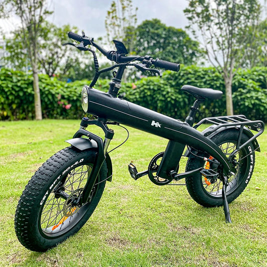 750 watts gros pneu Ebike Electrica 45 km h grand pneu Cycle de charge vélo de ville électrique Cargo vélos électriques