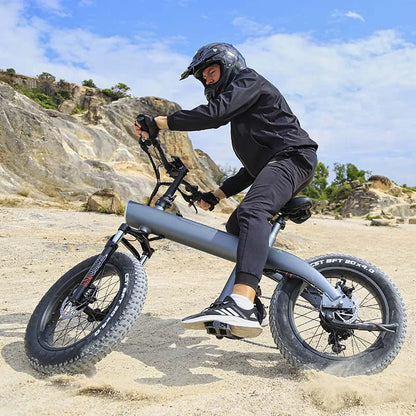 750 watts gros pneu Ebike Electrica 45 km h grand pneu Cycle de charge vélo de ville électrique Cargo vélos électriques