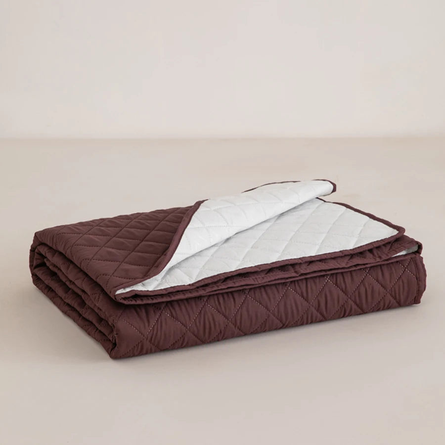 Housse de protection de lit imperméable pour chien, couverture pour meubles, housse de canapé pour chien et chat, coussin d'urine anti-saleté, couvre-lit matelassé