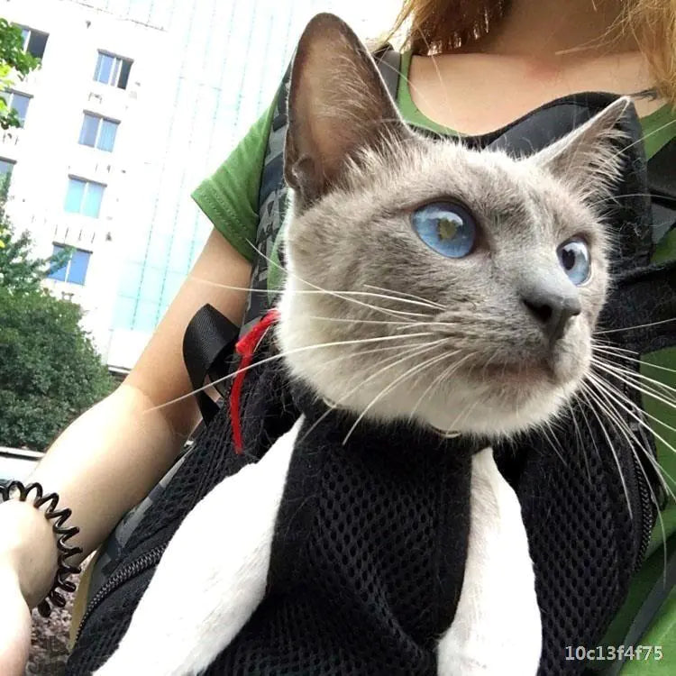 Pet Backpack Carrier for Small Dogs and Cats